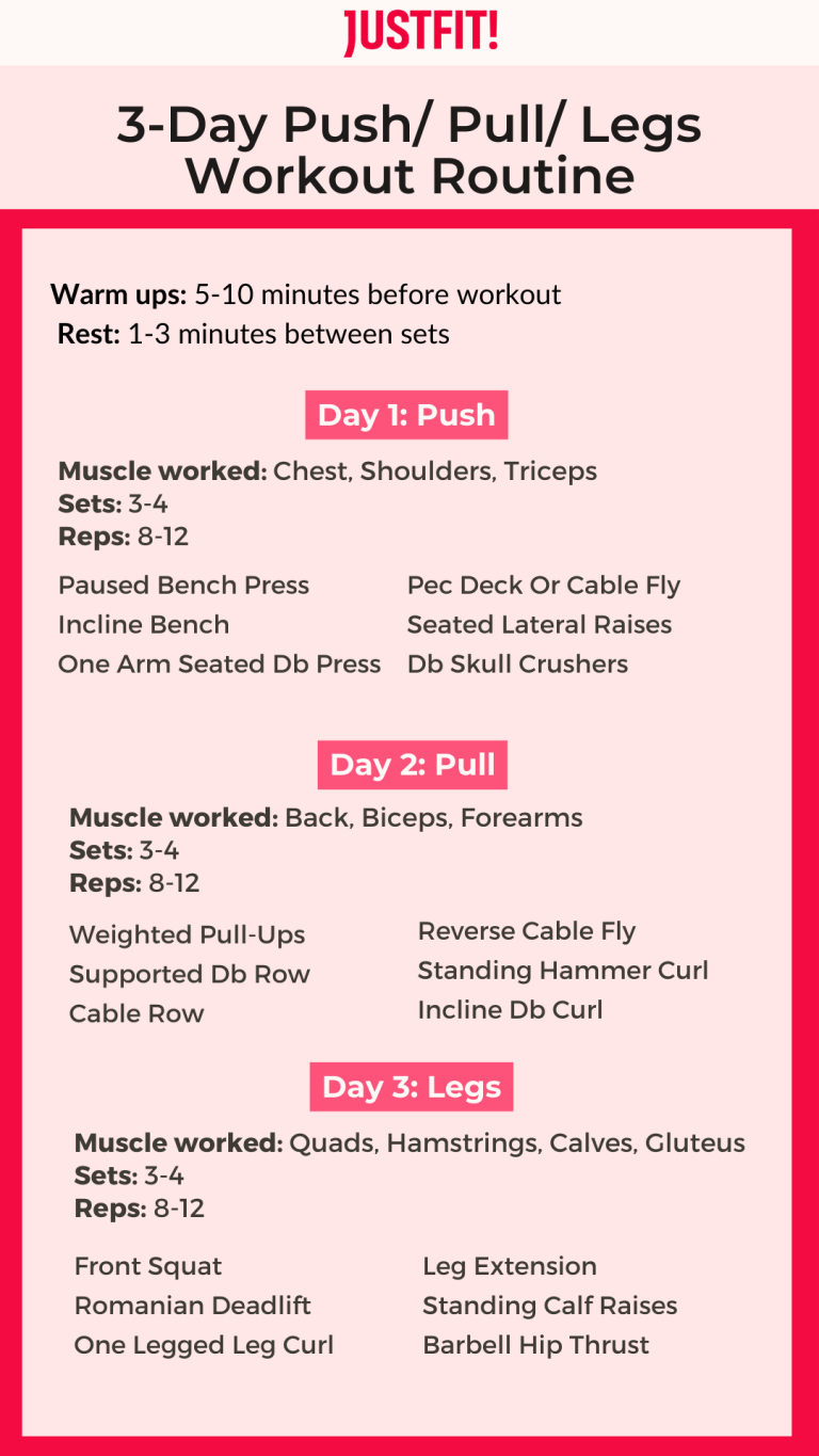 3 day push pull legs workout routine pdf