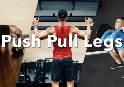 push pull legs workout routine pdf version available JustFit